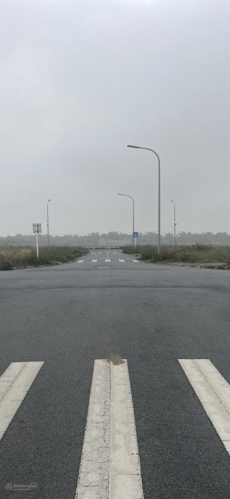 Bán lô đất X1 Đông Hộ 80m2 Mt 5m trục đường 40m nối Vin Cổ Loa - Cầu Tứ Liên giá rẻ thương lượng - ảnh 1
