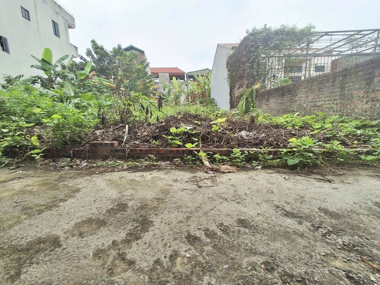 Bán Đất Trung Thôn Đông Hội Đông Anh 64.6m² 2 Mặt Ngõ Hướng Đông Nam 2