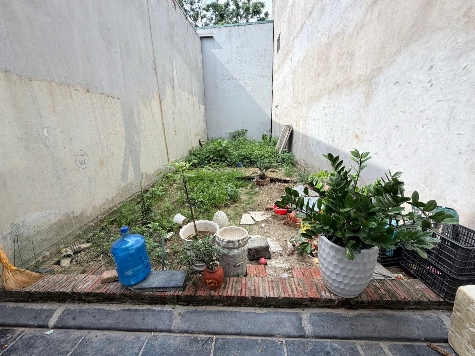 Bán Đất Đông Anh Giá Rẻ 48,2m²: Bán Hòa Vốn Đất Thổ Cư Việt Hùng Chính Chủ