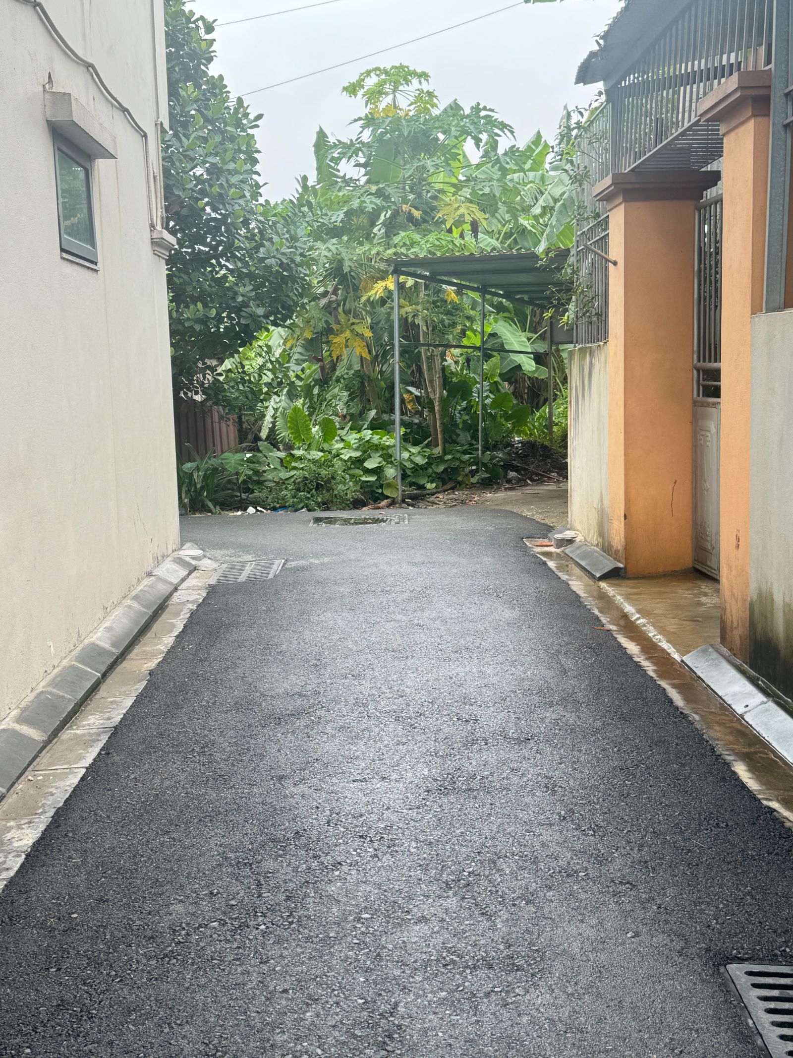Bán Đất Lê Xá Mai Lâm Đông Anh 50.3m² Ngõ Ô Tô Hướng Đông Nam - ảnh 1