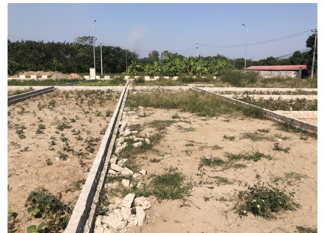 Bán Đất Đấu Giá X1 Hội Phụ Đông Anh 80m2 View Vin Cổ Loa 5